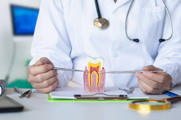 Best Emergency Dental Extractions in Forest Hills, TN